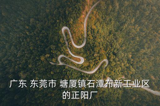 廣東 東莞市 塘廈鎮(zhèn)石潭布新工業(yè)區(qū)的正陽(yáng)廠