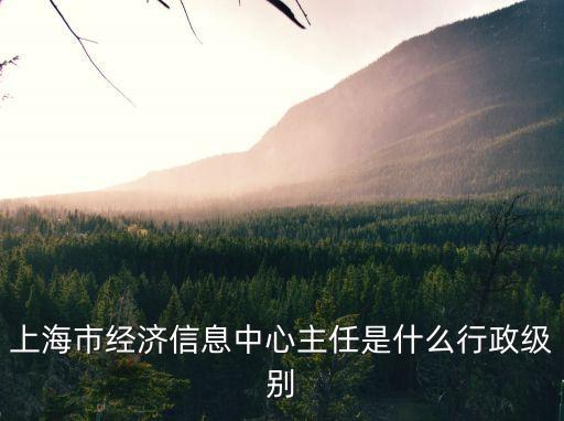 上海市經(jīng)濟(jì)信息中心主任是什么行政級(jí)別