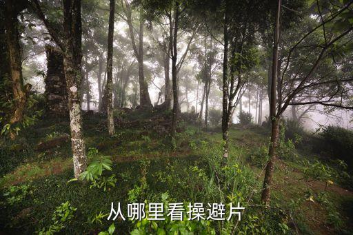 操避，操倍什么意思