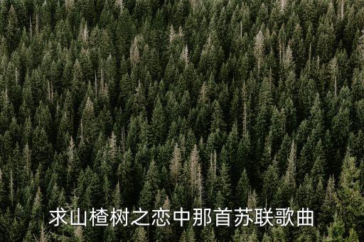 求山楂樹之戀中那首蘇聯歌曲
