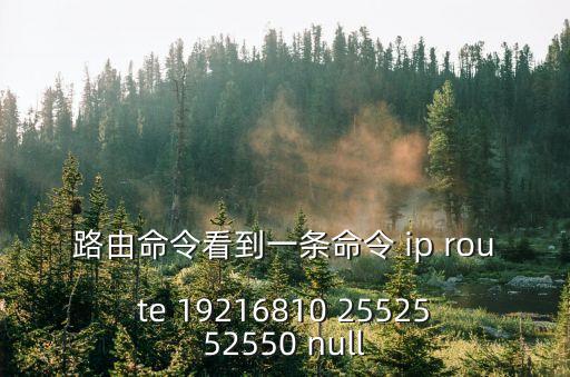 路由命令看到一條命令 ip route 19216810 2552552550 null
