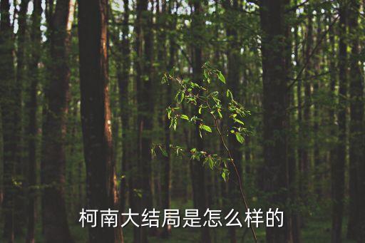 柯南大結局是怎么樣的