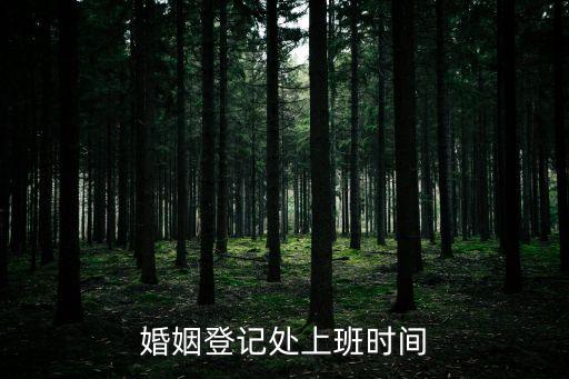 婚姻登記處上班時間