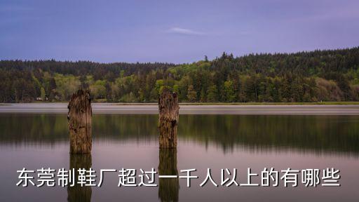 東莞鑫聯波多少人，東莞制鞋廠超過一千人以上的有哪些