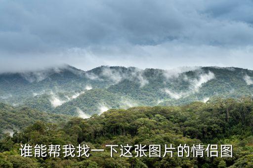 誰能幫我找一下這張圖片的情侶圖