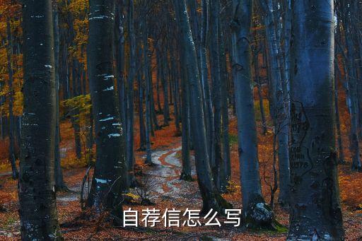 自薦信怎么寫