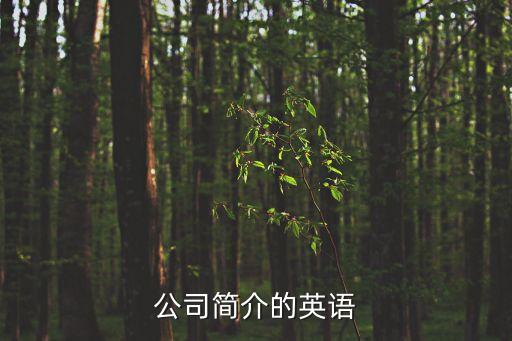 公司簡介的英語