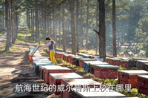 北地群島，航海世紀 北地群島主線任務如何觸發