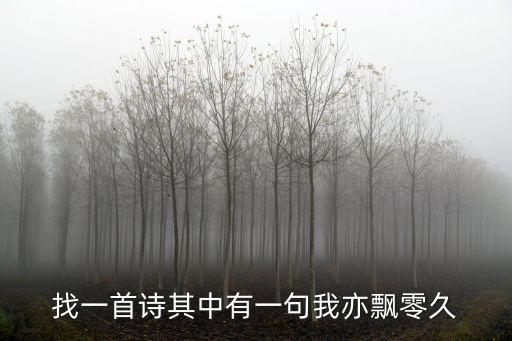 我亦飄零久，我亦飄零久是什么意思