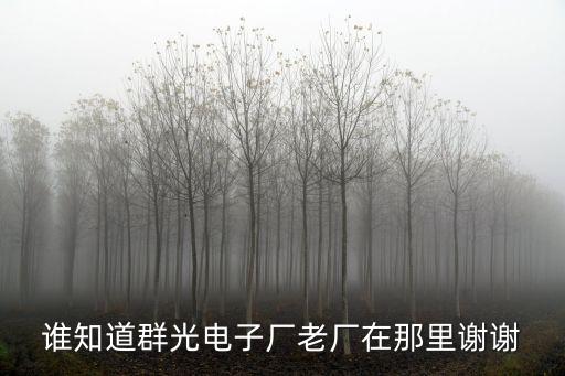 誰知道群光電子廠老廠在那里謝謝