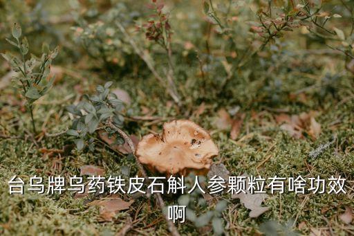 臺烏，臺烏牌烏藥鐵皮石斛人參顆粒有啥功效啊