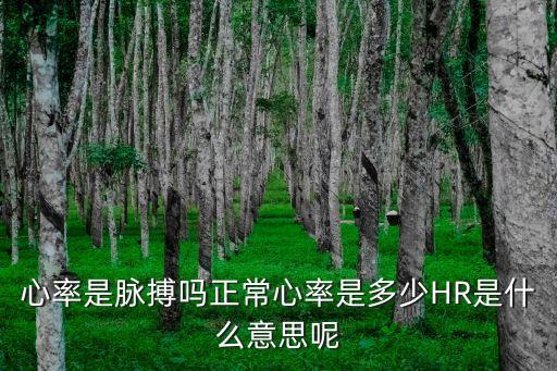 hr是心率嗎，孕檢胎兒心臟HR指的是什么胎兒的BPDACFI指的是什么
