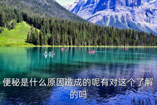 便秘是什么原因造成的呢有對這個了解的嗎