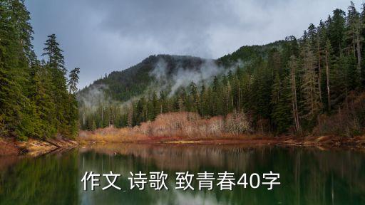 作文 詩歌 致青春40字