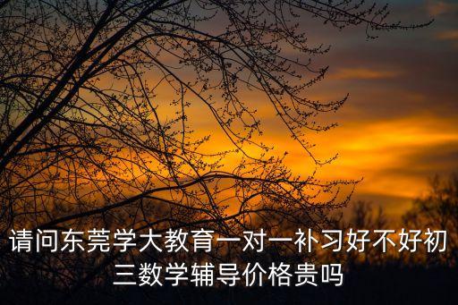 請問東莞學大教育一對一補習好不好初三數學輔導價格貴嗎