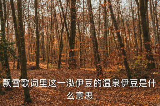 飄雪歌詞里這一泓伊豆的溫泉伊豆是什么意思