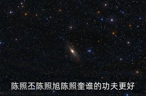 陳照丕，陳照丕陳照旭陳照奎誰的功夫更好