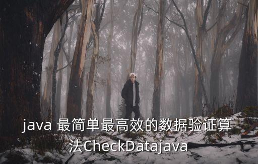 數據驗證，java 最簡單最高效的數據驗證算法CheckDatajava