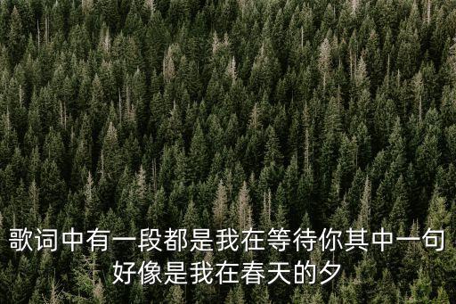 歌詞中有一段都是我在等待你其中一句好像是我在春天的夕