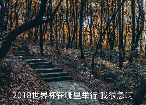2018世界杯在哪里舉行 我很急啊