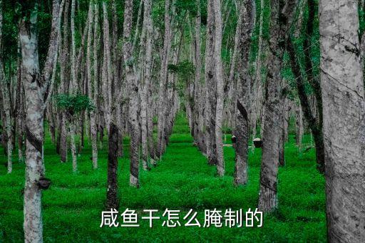 咸魚干怎么腌制的
