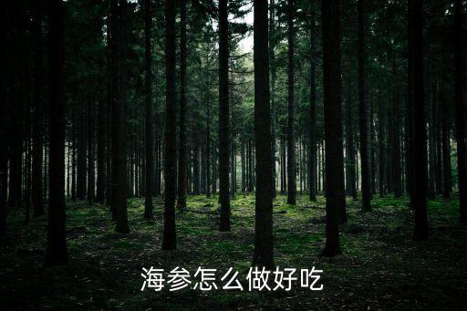 海參怎么做好吃