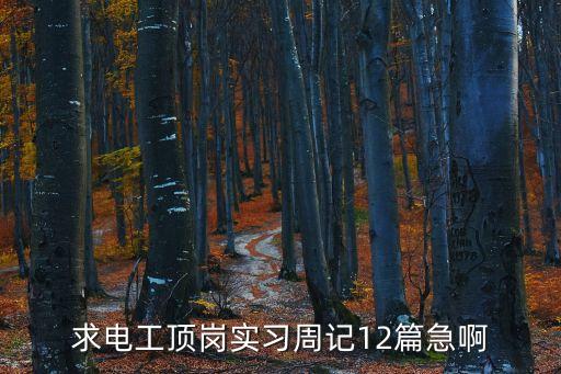 電工實習周記，求電工頂崗實習周記12篇急啊