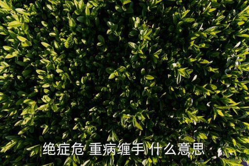 纏手，搏擊纏手的方法總共有多少種啊