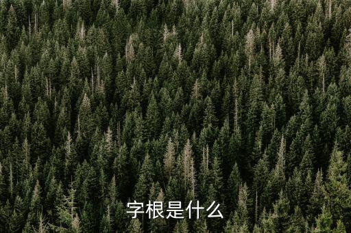 字根是什么