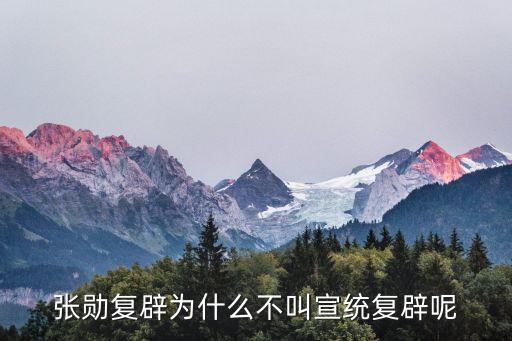 張勛復辟為什么不叫宣統復辟呢