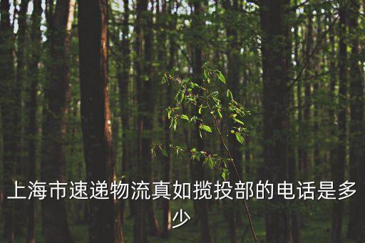 上海市曹路攬投部電話，ems內(nèi)網(wǎng)查詢1165120161205