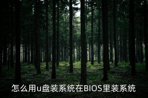 怎么用u盤裝系統在BIOS里裝系統