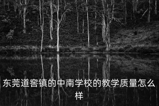 廣東東莞中南學校，東莞中南學校是日本人辦的嗎