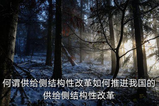 供給側(cè)是什么，供給側(cè)的意思