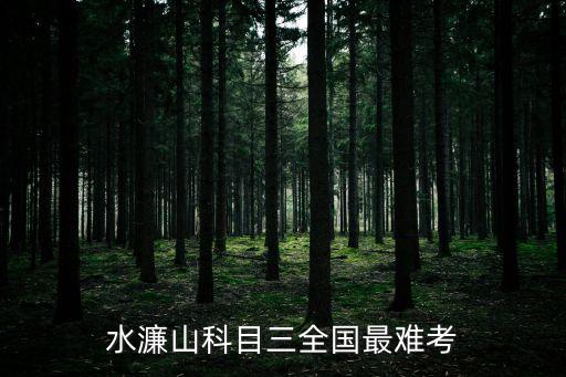 水濂山科目三全國最難考