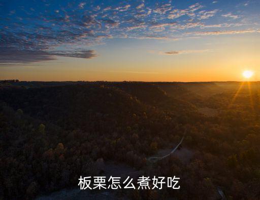 板栗怎么煮好吃