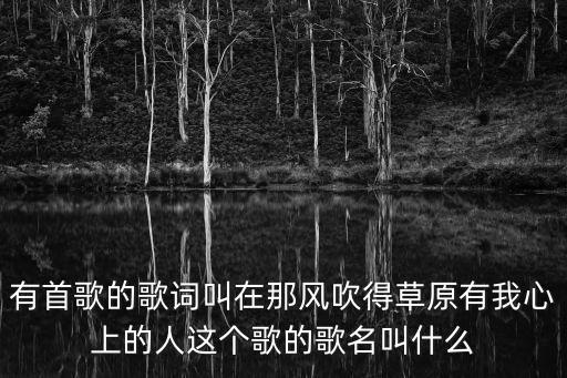 我叫夯大力，有首歌的歌詞叫在那風(fēng)吹得草原有我心上的人這個歌的歌名叫什么
