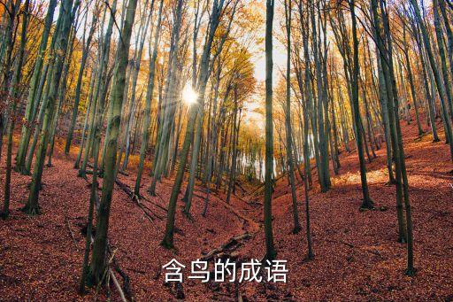 含鳥的成語