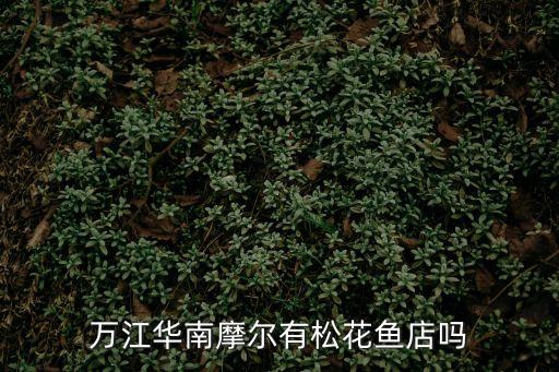 萬江華南摩爾有松花魚店嗎