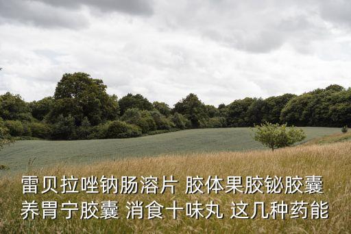雷貝拉唑鈉腸溶片 膠體果膠鉍膠囊 養胃寧膠囊 消食十味丸 這幾種藥能