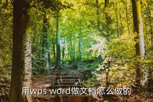 用wps word做文檔怎么做的
