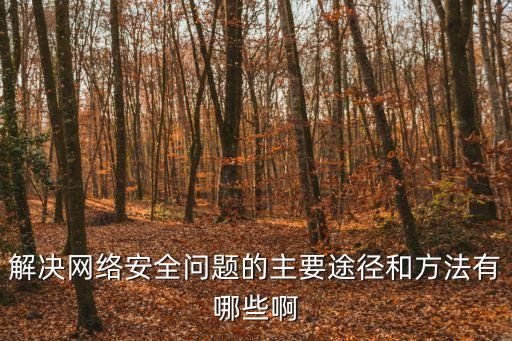 網絡信息安全法，信息安全方面的法律法規名稱