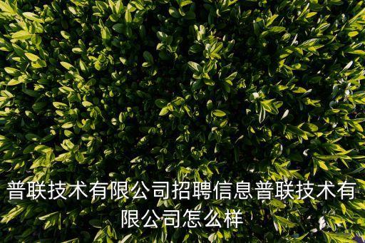 普聯技術有限公司招聘信息普聯技術有限公司怎么樣