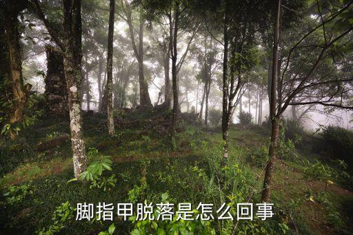 腳指甲脫落是怎么回事