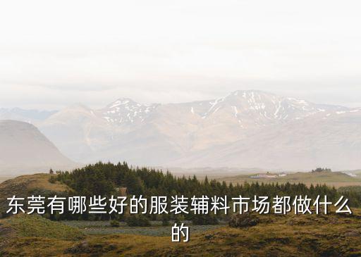 東莞有哪些好的服裝輔料市場(chǎng)都做什么的