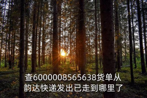查6000008565638貨單從韻達(dá)快遞發(fā)出已走到哪里了