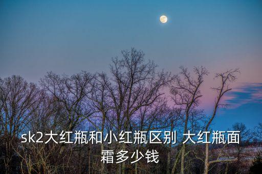 sk2大紅瓶和小紅瓶區(qū)別 大紅瓶面霜多少錢