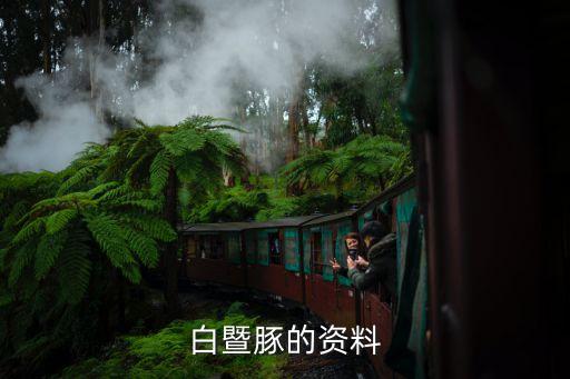 白暨豚的資料