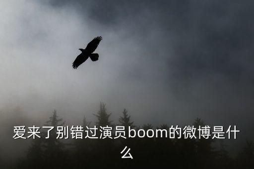 愛來了別錯過演員boom的微博是什么