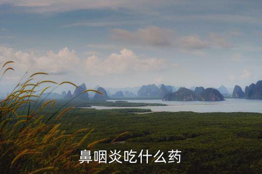 鼻咽炎吃什么藥